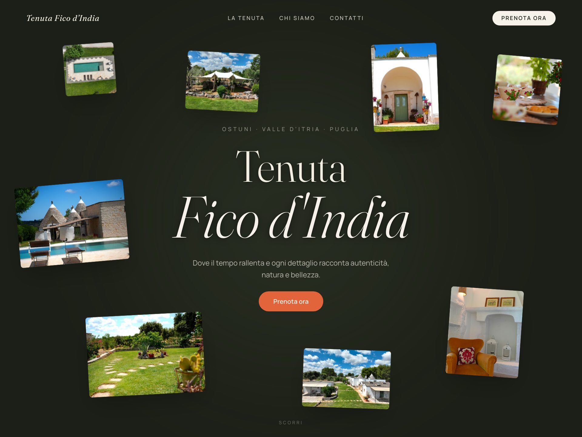 LuxWeb hospitality studio preview
